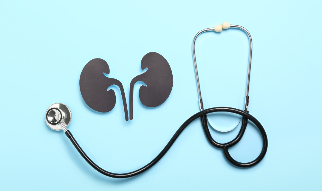 Kidney image and stethoscope